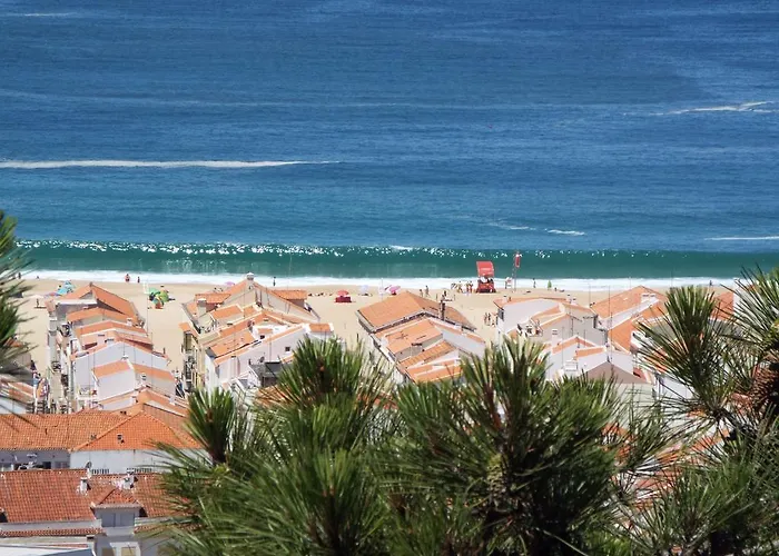 Ricardo Holidays At * נאזרה