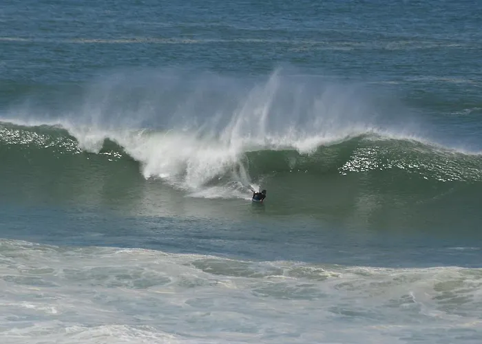 Ricardo Holidays At נאזרה